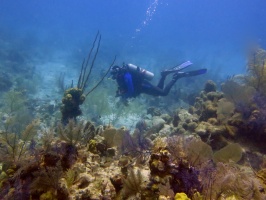 20 John on the Reef IMG 3135
